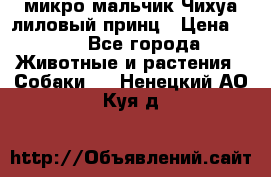 микро мальчик Чихуа лиловый принц › Цена ­ 90 - Все города Животные и растения » Собаки   . Ненецкий АО,Куя д.